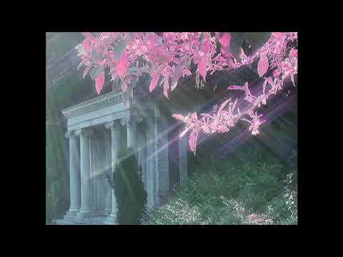 [FREE] Jungle Dnb x tokyopill Type Beat (Prod.heymateo!)