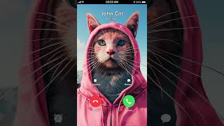John Cat is Calling
