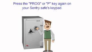 How to Reset a Sentry Safe Combination Video