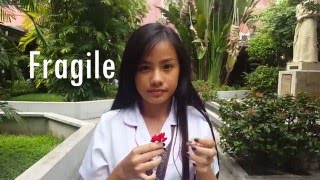 Fragile - Maria Mena (Lyric Video)