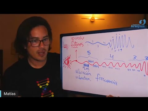 Day 282 PAINTING Third Eye Talk - Matias De Stefano - English Edit