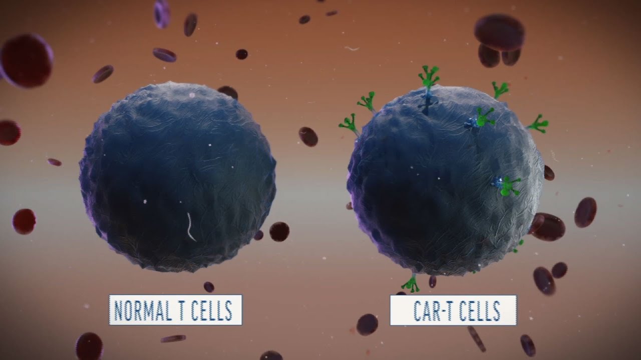 A Look at How CAR-T Cell Therapy Works - YouTube