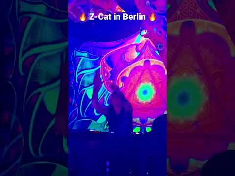 Z-Cat in Berlin