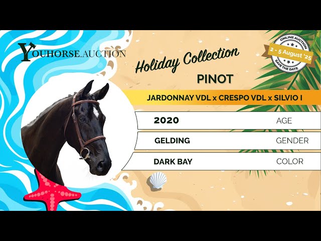 Pinot