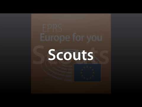 Scouts [What Europe does for you]