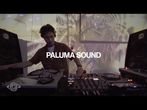 Paluma Sound | Opening Meditation - Sights & Sounds: NYC