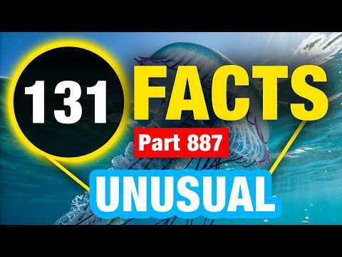 131 Weird Facts | Facts That Will Blow Your Mind