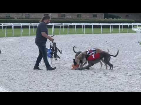 2019.05.26. - Agár futam