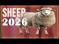 Sheep Horoscope 2026 Born 2015 2003 1991 1979 1967 1955 1943 1931