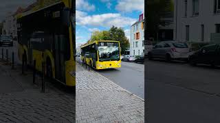 Just Berlin #bvg #bus #indianingermany #berlin #travel