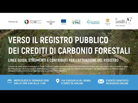 Verso il Registro pubblico dei crediti di carbonio forestali