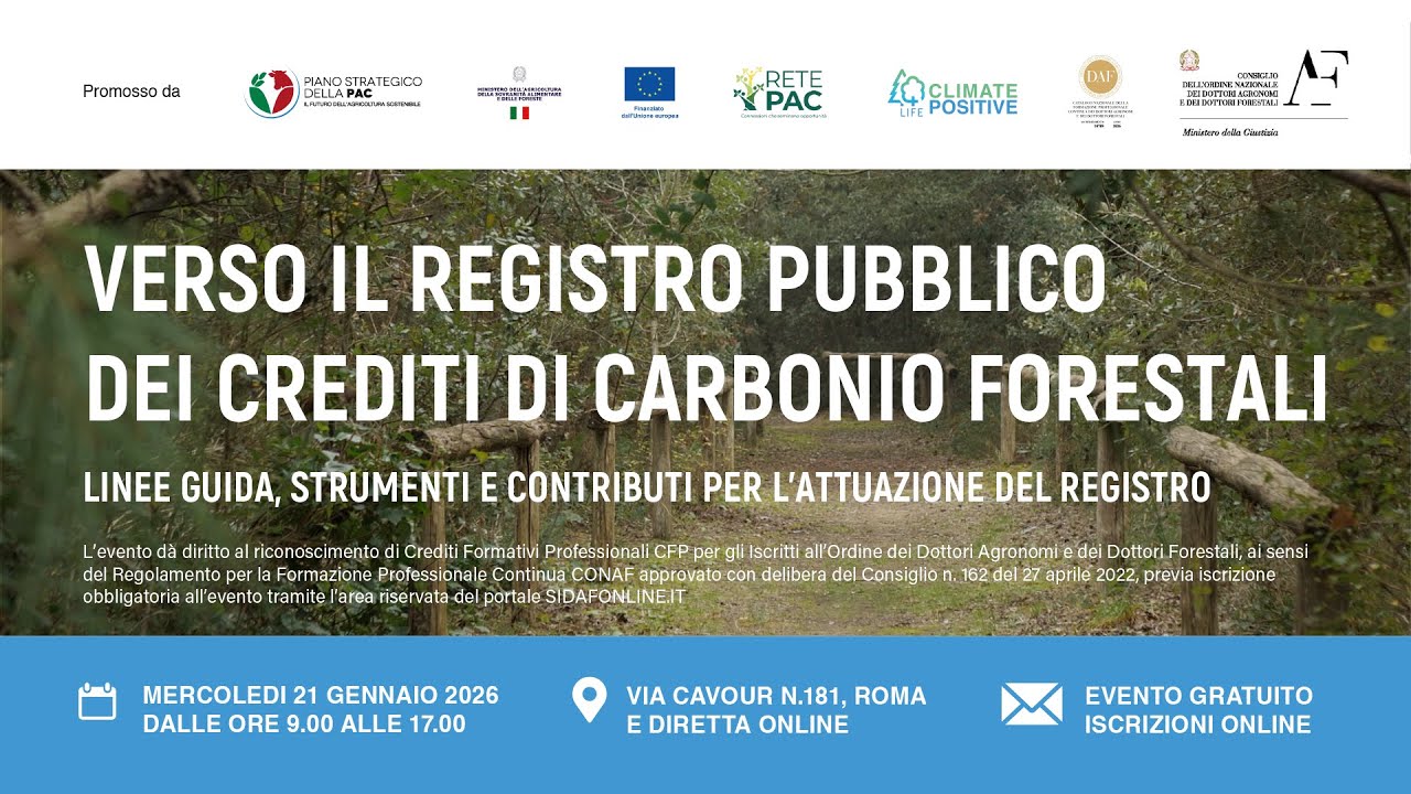 Verso il Registro pubblico dei crediti di carbonio forestali