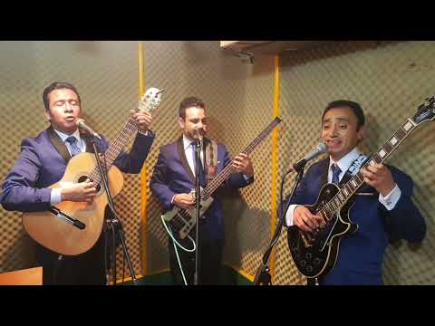 Serenata con Los Tecolines..