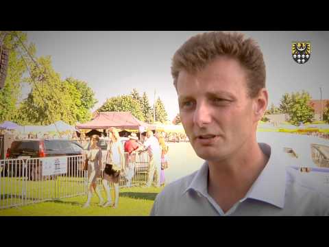 VI Powiatowe Dni Kultury Regionalnej Truskawkowy Pęgów / Pęgów 2013