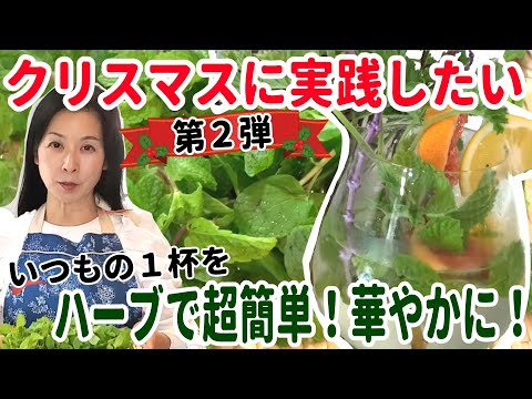 医療ビジネス薬科学科 クリスマスをより華やかに！超簡単！すぐに実践できるハーブ活用術！【第２弾　ハーブドリンク】