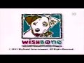 Theme Song Evolution Wishbone Part 2