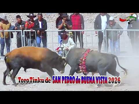 Fiesta de Pascua de SAN PEDRO DE B.V. 2026 T2."Torpe-Ch'illca".(Video Oficial) de ALPRO BO.