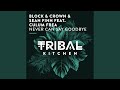 Never Can Say Goodbye (Radio Edit)