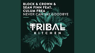 Never Can Say Goodbye (Radio Edit)