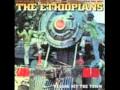What A Pain - The Ethiopians 