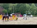Jackpot de Sisse hongre 7 ans