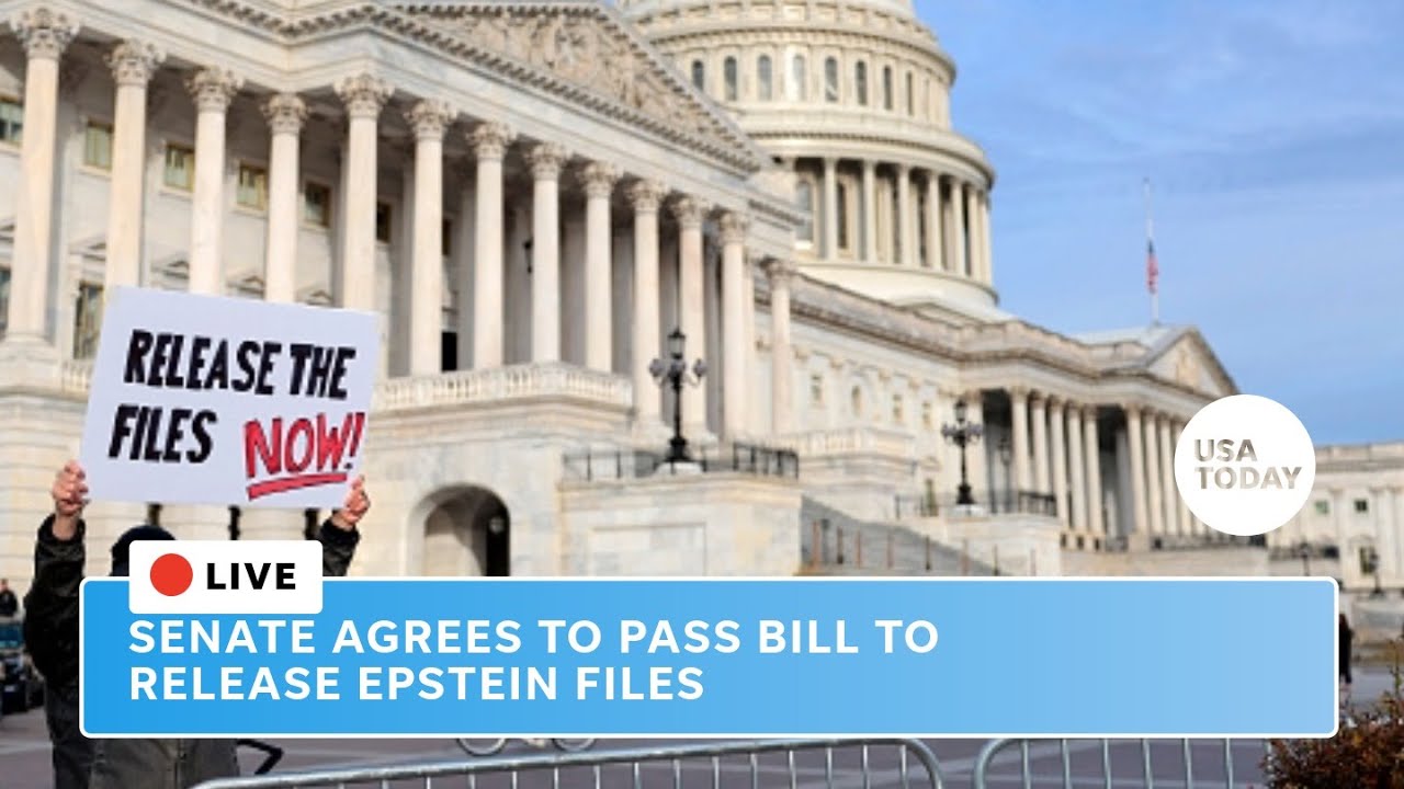 Watch live: Senate unanimously passes bill to release Jeffrey Epstein files