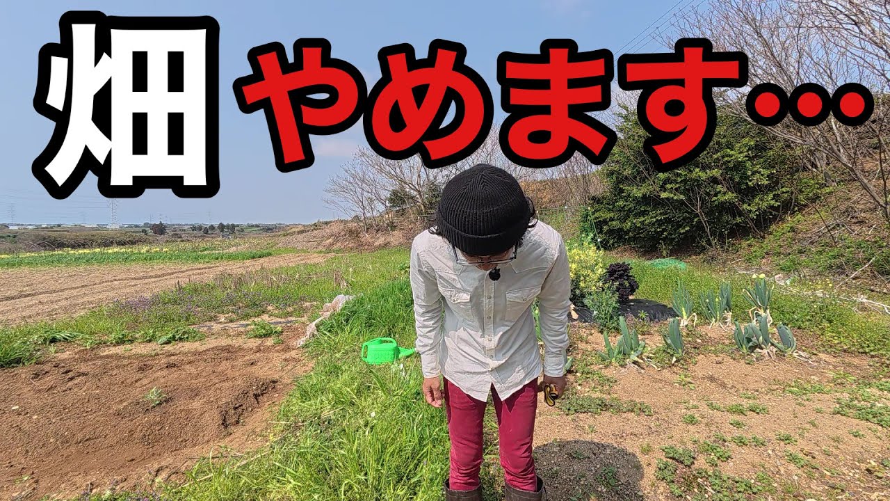 突然の報告でごめんなさい。　【園芸超人カーメン君】