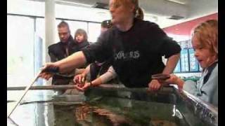 preview picture of video 'Exploris Day In The Life, Part One'