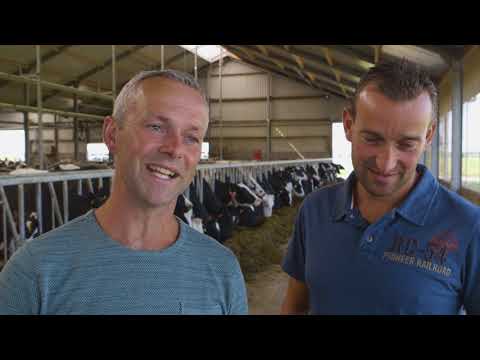 Jeroen en André Sturkenboom 'De diergezondheid is zeker verbeterd'