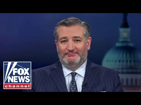 Ted Cruz EXPOSES Dems' 'hypocrisy'