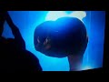 Et The Extra Terrestrial
