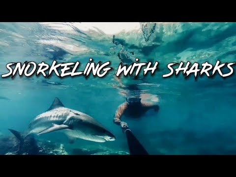 Pigeon Island Sri Lanka Best snorkeling paradise in the world