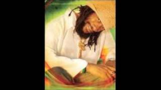 Just Another Blend Junior kelly