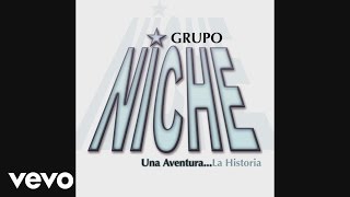 Grupo Niche - Se Pareció Tanto a Ti (Cover Audio Video)