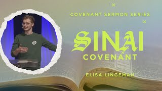 Mount Sinai Convenant - Elisa Lingeman