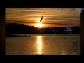Whenever you come around - Mona Gjerløw