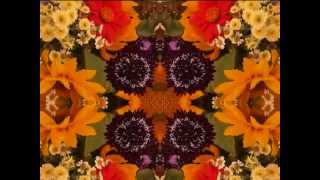 Paper Wings (by Gillian Welch and David Rawlings live in Hickory, NC 1997)