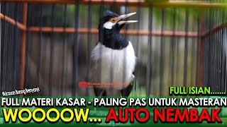 Download lagu PANCINGAN JALAK SUREN MATERI KASAR - NEMBAK NGEROL PALING ENAK DIGUNAKAN SAAT PEMASTERAN mp3 Download lagu PANCINGAN JALAK SUREN MATERI KASAR - NEMBAK NGEROL PALING ENAK DIGUNAKAN SAAT PEMASTERAN mp3