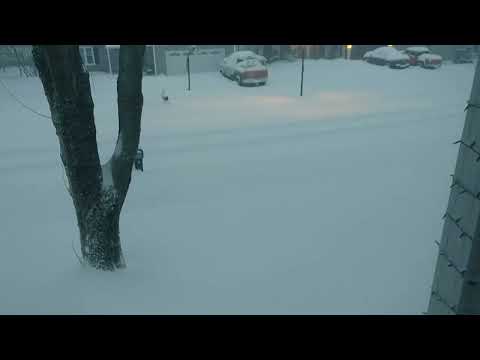 Jan 17 2022 Time-lapse Snowfall in Erie, PA