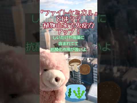 植物の栄養について詳しく解説