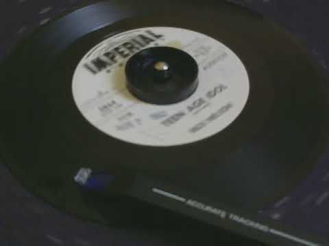 45 rpm Rick Nelson - Teen Age Idol - 1962