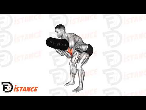 Exercice Curl double concentré debout avec haltères