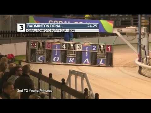 2019 ROMFORD PUPPY CUP - 3RD SEMI - T3 BADMINTON DONAL