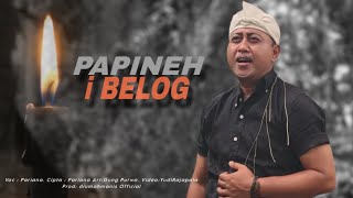 Download lagu PAPINEH i BELOG - PARIANA mp3