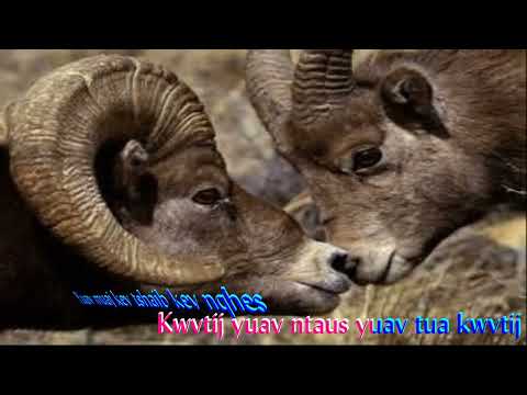 138. THAUS YEXUS YUAV ROV MOOG