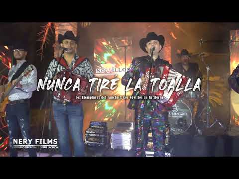 Miniatura de Nunca tire la Toalla (En Vivo)