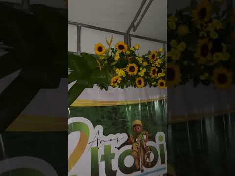 Arranjo em Backdrop para aniversário de Itabi-SE #valmirpaesdesignfloral #flores