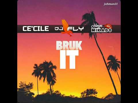 Ce'cile - Bruk It【Dj Fly & Mikado】May 2025