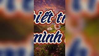 #Tus hay| Nhạc không lời hay| nhạc chữa lành #trendingshorts #tamtrang #nhachaymoingay #nhachay