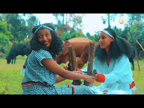 Tokkummaa Waaqumaa - Dibbee Tokkuummaa - Ethiopian Oromo Music 2020 [Official Video]
